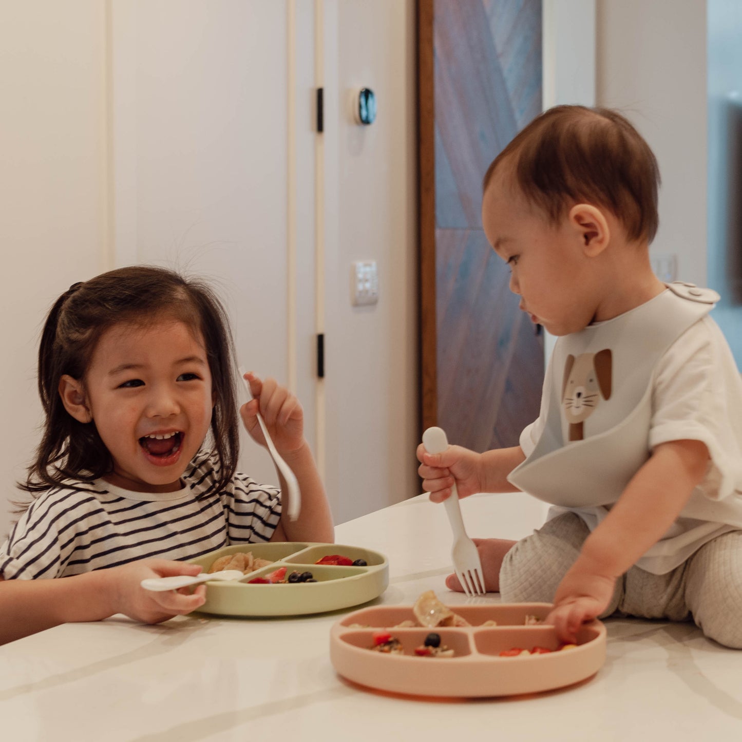 Plate and Bowl Set