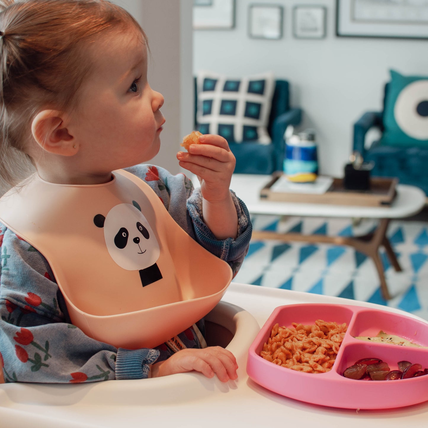 Vibrant Suction Plate Set