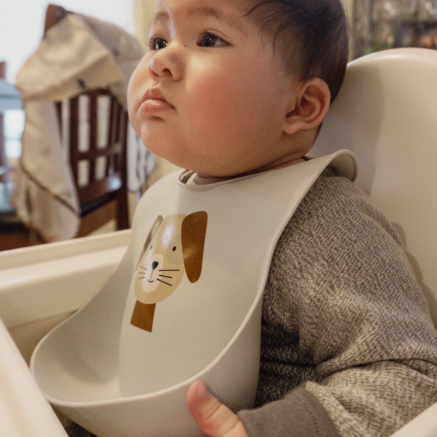 Animal Bib Set