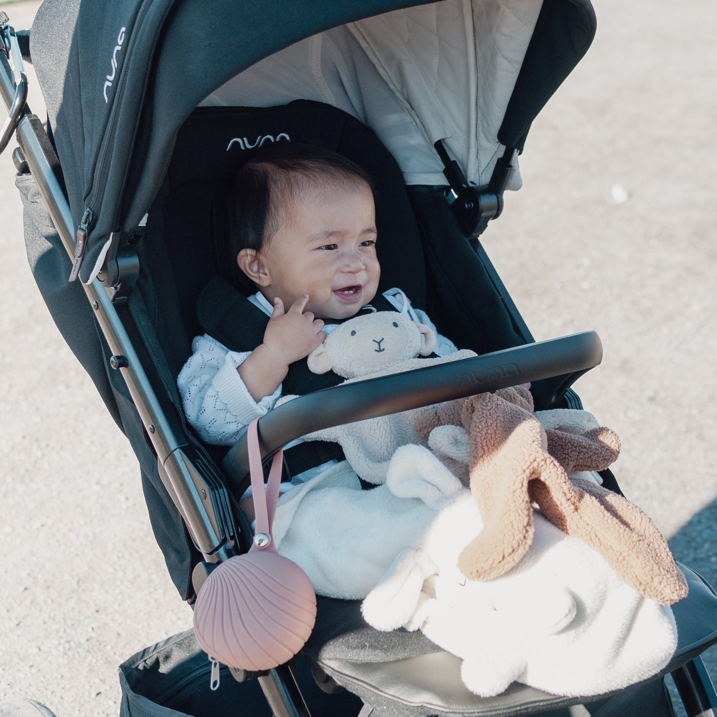 Pacifier Holder